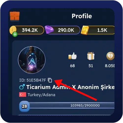 Profil fotoğrafınızın altındaki ID'yi kopyalayın.